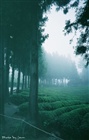dailyPhoto30